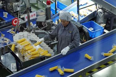 让饭碗装上更多优质&ldquo;龙江粮&rdquo;：黑龙江打造特色现代农业