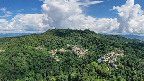 贡献人类可持续发展的中国智慧——文化和旅游部副部长、国家文物局局长李群谈“普洱景迈山古茶林文化景观”成功申遗