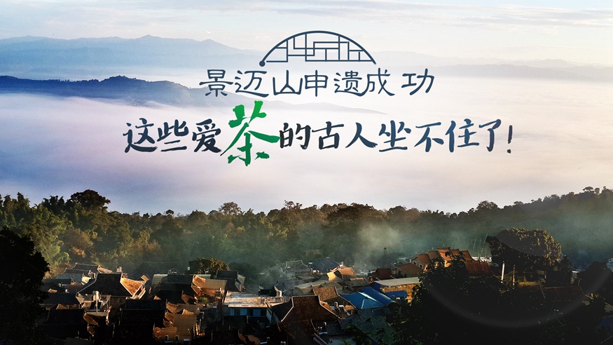 景迈山申遗成功 这些爱茶的古人坐不住了!