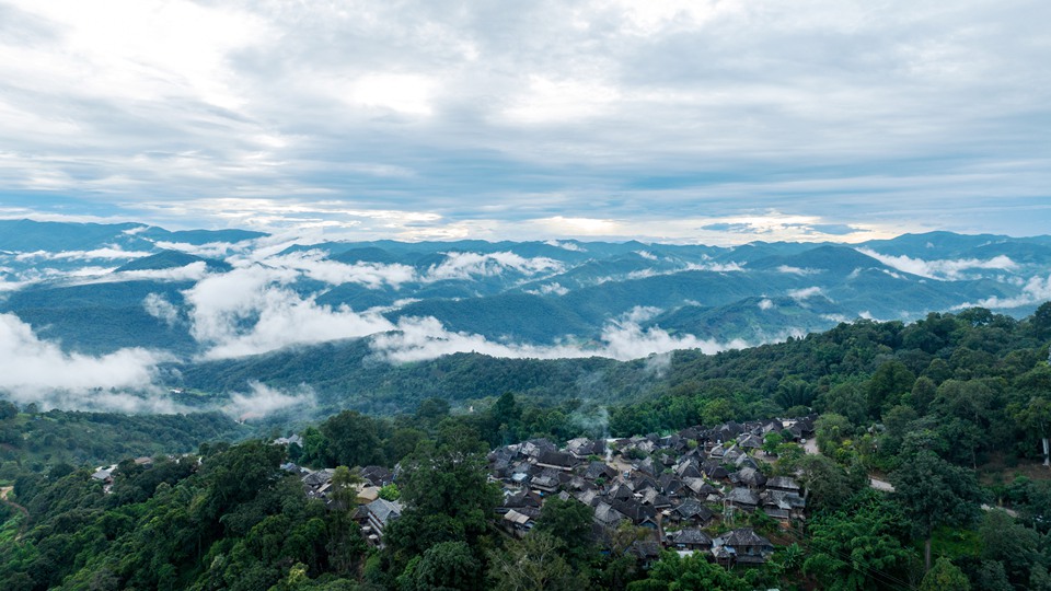 “普洱景迈山古茶林文化景观”成功申遗