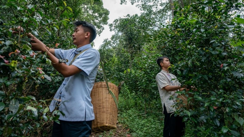 守护全人类共同的珍宝——世界遗产可持续发展的中国实践