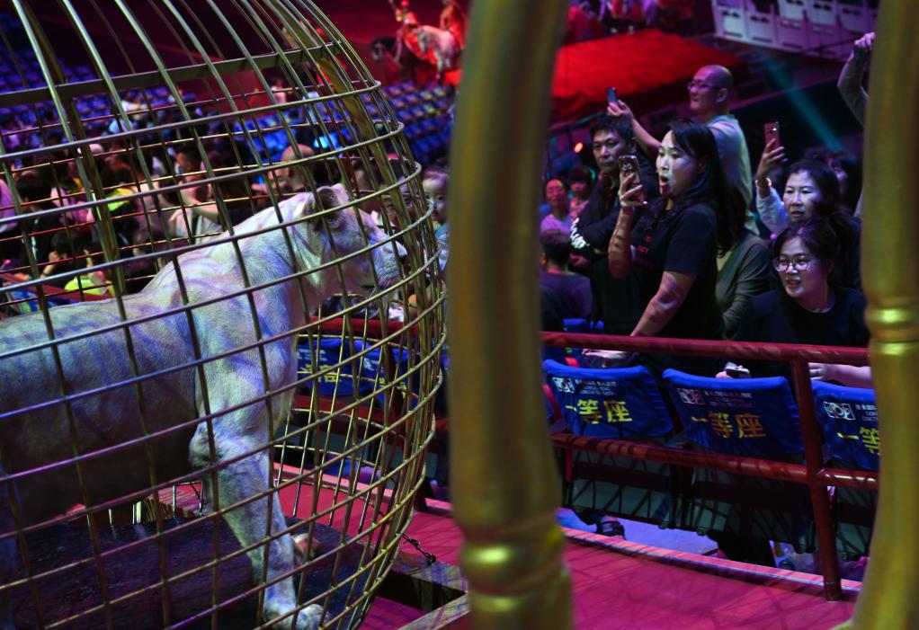 河北承德：特色演出点亮&ldquo;夜经济&rdquo;