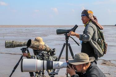 改革故事｜让滨海湿地成为&ldquo;精灵&rdquo;的天堂&mdash;&mdash;守护人群像扫描