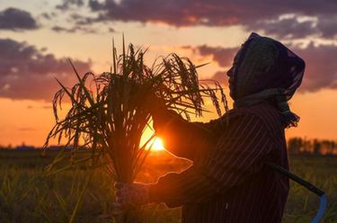 镜观中国&middot;新华社国内新闻照片一周精选