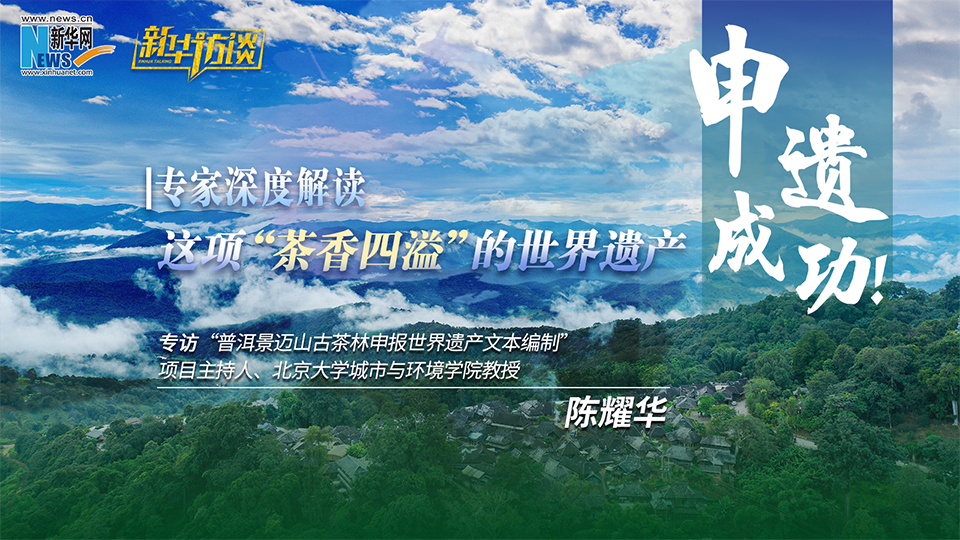 申遗成功!专家深度解读这项“茶香四溢”的世界遗产