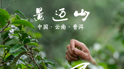 说TA是茶界“顶流”可一点也不过分!