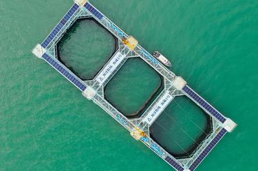 &ldquo;游牧&rdquo;深蓝&mdash;&mdash;养鱼百万斤的巨无霸&ldquo;粮仓&rdquo;助力向海图强