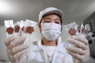 河北赵县：&ldquo;雪花梨之乡&rdquo;绘就丰收新图景