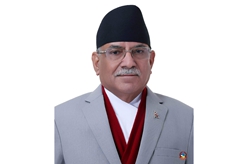 尼泊尔总理像