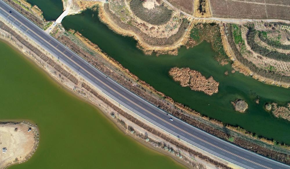 宁夏银川：净化修复“湿地绿肾” 守护黄河生态安全