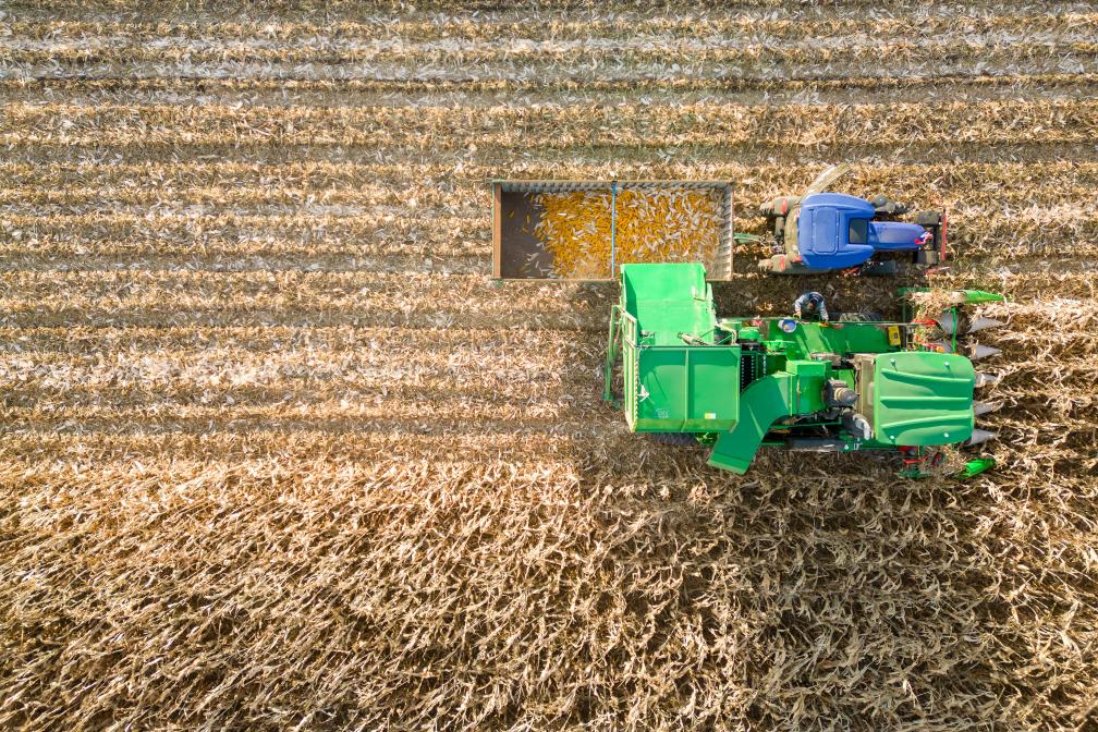 黑龙江甘南县：辽阔黑土地呈现秋收好&ldquo;丰景&rdquo;