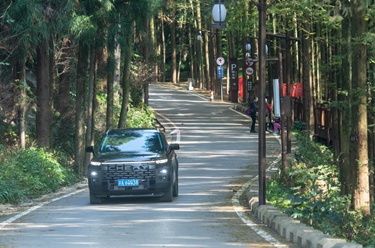 一条路带活一座山 &ldquo;178环线&rdquo;为乡村振兴注入新动能