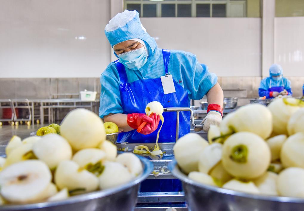 安徽砀山：深加工促进梨产业发展