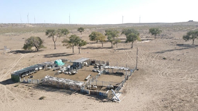 长城脚下的宁夏农民吃上“旅游饭”