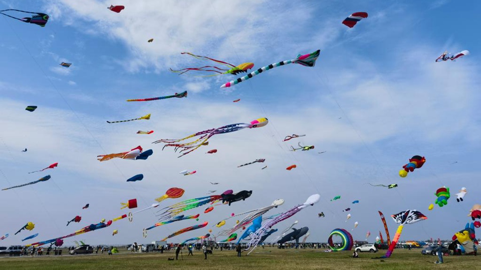 赓续文脉 向“新”而行——人文经济学“潍坊实践”