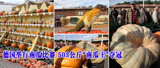德国举行南瓜比赛 503公斤&ldquo;南瓜王&rdquo;夺冠