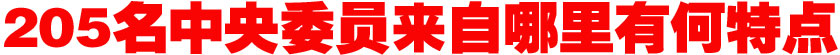 205名中央委员来自哪里？有何特点？