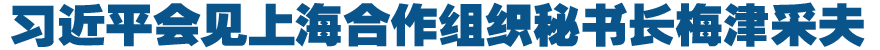 习近平会见上海合作组织秘书长梅津采夫
