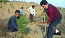 影视作品《牛玉琴的树》上集