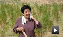 影视作品《牛玉琴的树》下集