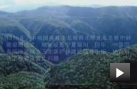 三北防护林建设工程大事记