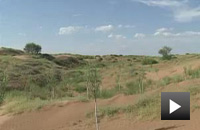 地球绿飘带大型集成报道启动