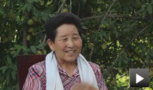 牛玉琴:树就是我的孩子