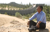 那片绿色,那些光阴