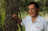 一个人 两棵树 十七年