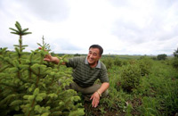 王有贵巧手绘绿色弧线