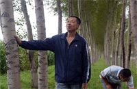 三北工程筑就大美龙江