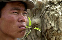 大漠护林18载青涩小伙为人父