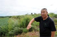 “三靠屯”的新生