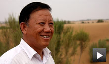 黑土地上的绿宝藏