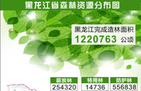 黑龙江省森林资源分布图
