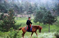 白沙上的彰武成辽西绿色屏障