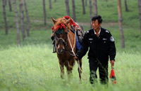 马背上的“绿色守护神”