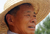 把绿阴种到人们心中