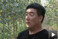 “家庭林场”治荒山变绿洲