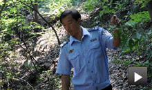 朱金宝:23年守护八仙山