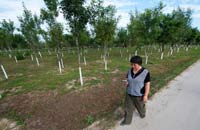 “春姑娘”:献出青春献出美