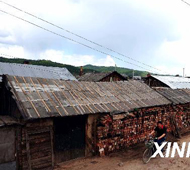 呼伦贝尔改造林区棚户区