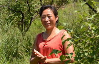 67万亩山杏带动2万农民致富