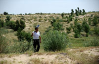 李凤树的家庭小生态经济圈