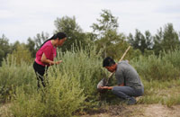 “治沙女愚公”宝秀兰
