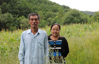 夫妇坚守27载荒山变“林海”