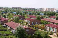 黄沙亦可成黄金