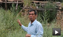 同在“绿色长城”的脚下