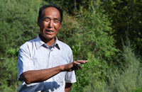 “植树狂人”王占峰的绿色梦