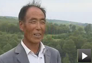 “植树狂人”王占峰的绿色梦